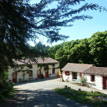 Chambres D'Hotes - B&B Getigne 外观 照片